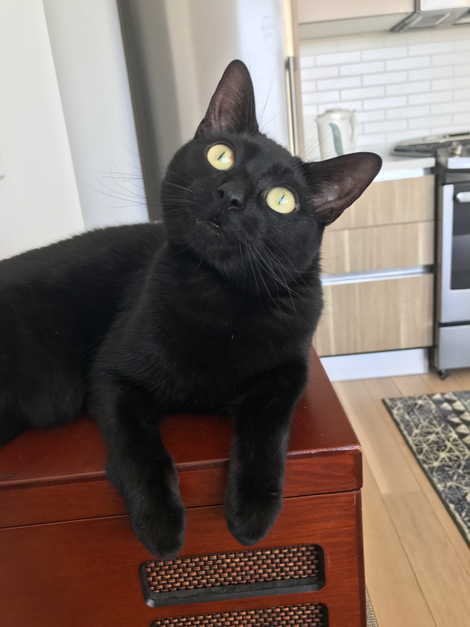 My sweet, beautiful, perfect child.